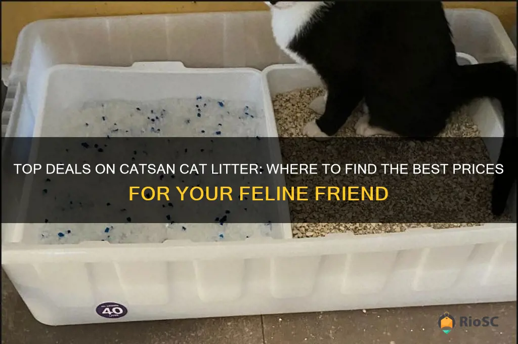 best price catsan cat litter