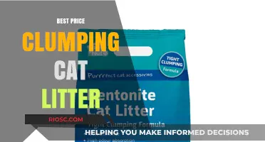 Top Picks for Affordable Clumping Cat Litter: Save Money Without Sacrificing Quality