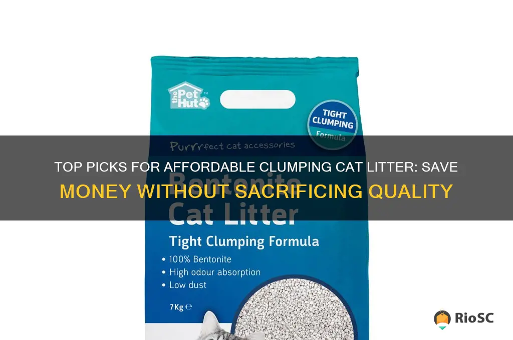 best price clumping cat litter
