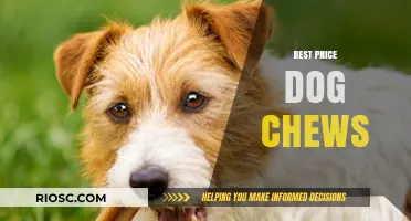 Top-Rated Dog Chews at Unbeatable Prices: A Guide to Affordable and Safe Options