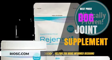 Top-Rated Dog Joint Supplements at Unbeatable Prices: Enhance Your Pet’s Mobility Today