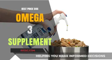 Top-Rated Omega 3 Supplements for Dogs: Affordable Options for Optimal Health