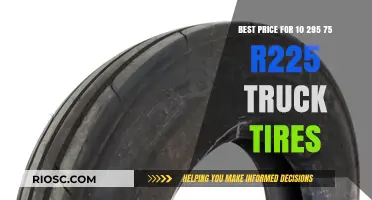 Top Deals on 10 295 75 R22.5 Truck Tires: Find the Best Price Today