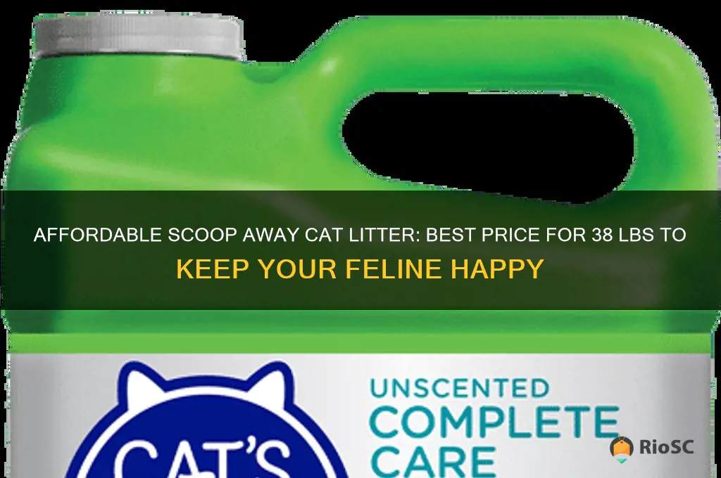 best price for 38 lbs sccop away cat litter