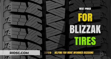Where to Find the Best Price for Blizzak Tires: Top Deals and Discounts