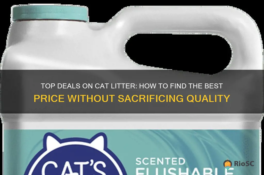 best price for cat litter