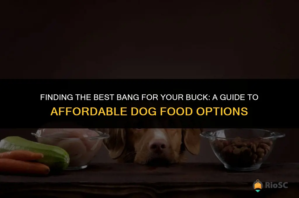 best price for dog food