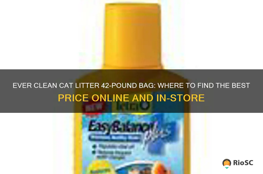 best price for ever clean cat litter 42 pound bag