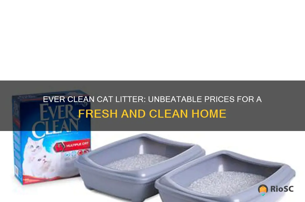 best price for ever clean cat litter
