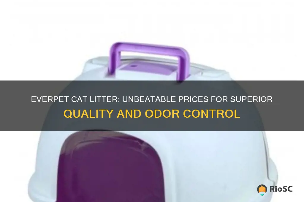 best price for everpet cat litter