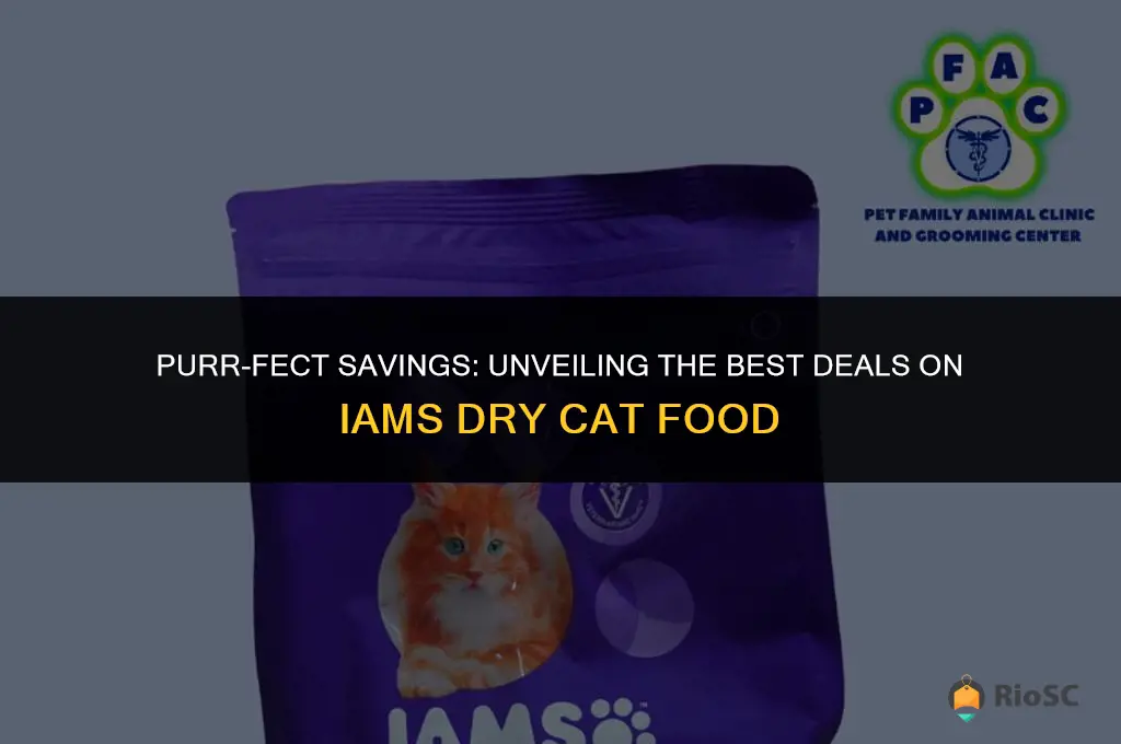 best price for iams dry cat food