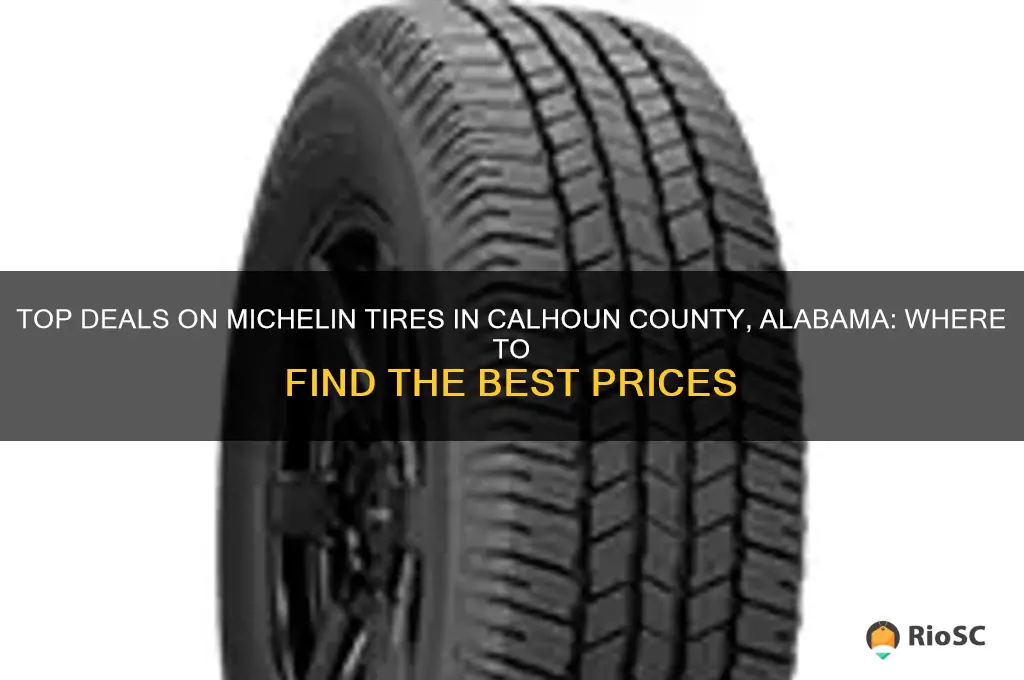 best price for michelin tires in calhoun county alabama