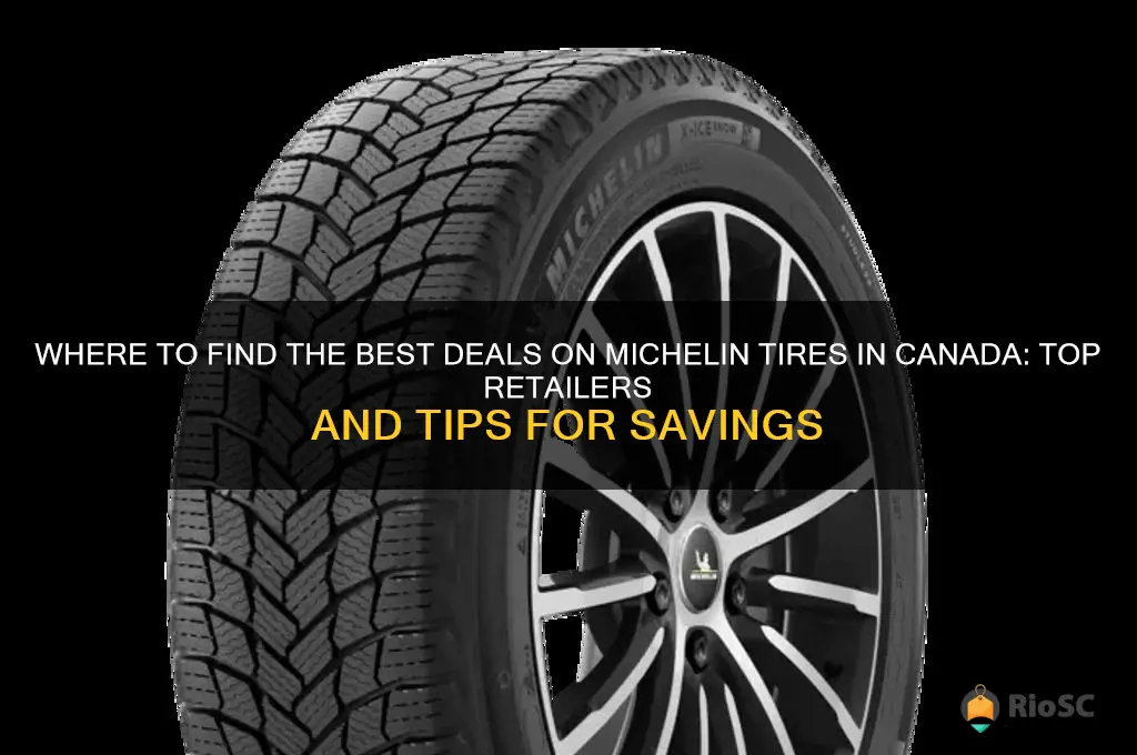 best price for michelin tires in canada