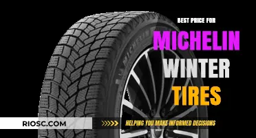 Michelin Winter Tires: Unbeatable Prices for Top-Notch Performance