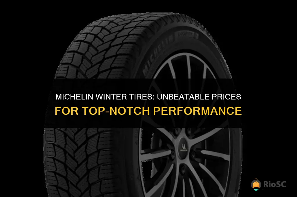 best price for michelin winter tires