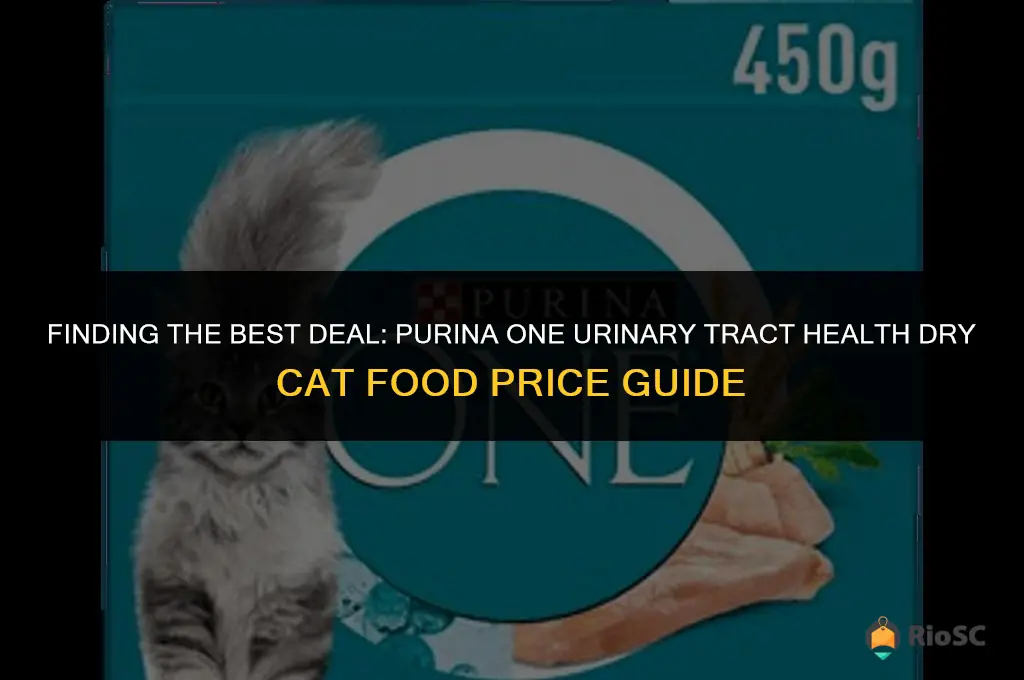 best price for purina one urinary tract dry cat food