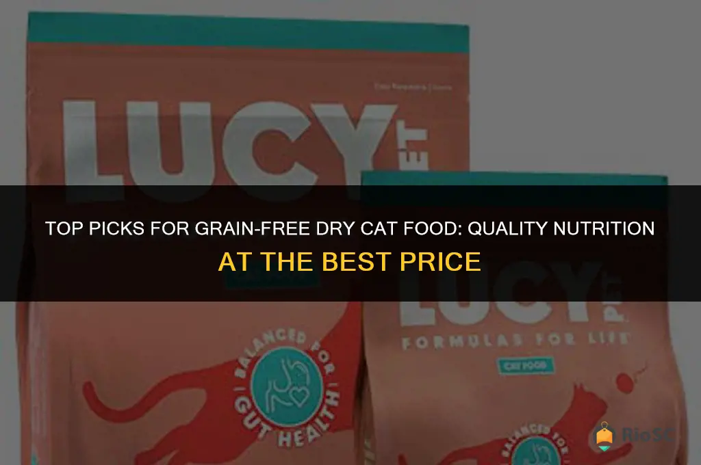 best price grain free dry cat food