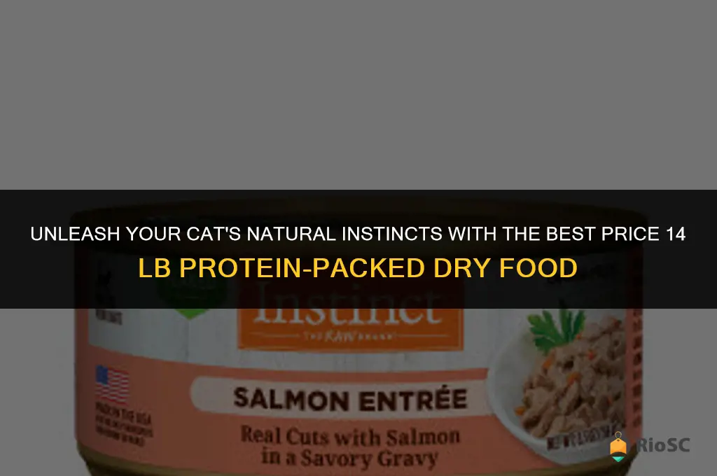 best price instinct cat dry food 14 lb protein