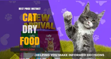 Top Picks for Affordable Instinct Cat Dry Food: Quality Nutrition on a Budget