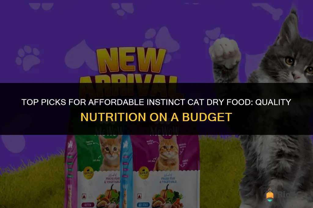 best price instinct cat dry food