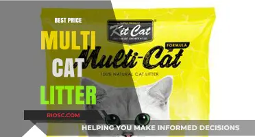 Top Affordable Multi-Cat Litter Options for a Fresh and Clean Home