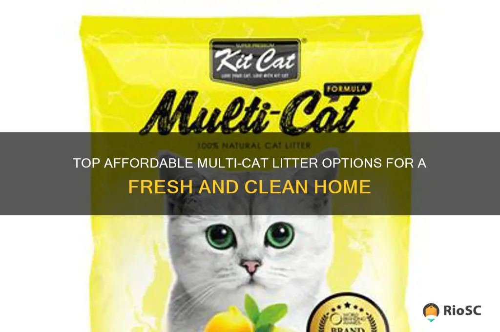 best price multi cat litter