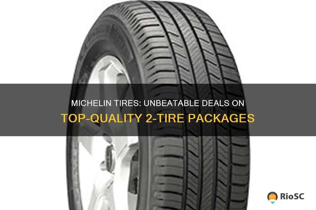 best price of 2 tires michelin