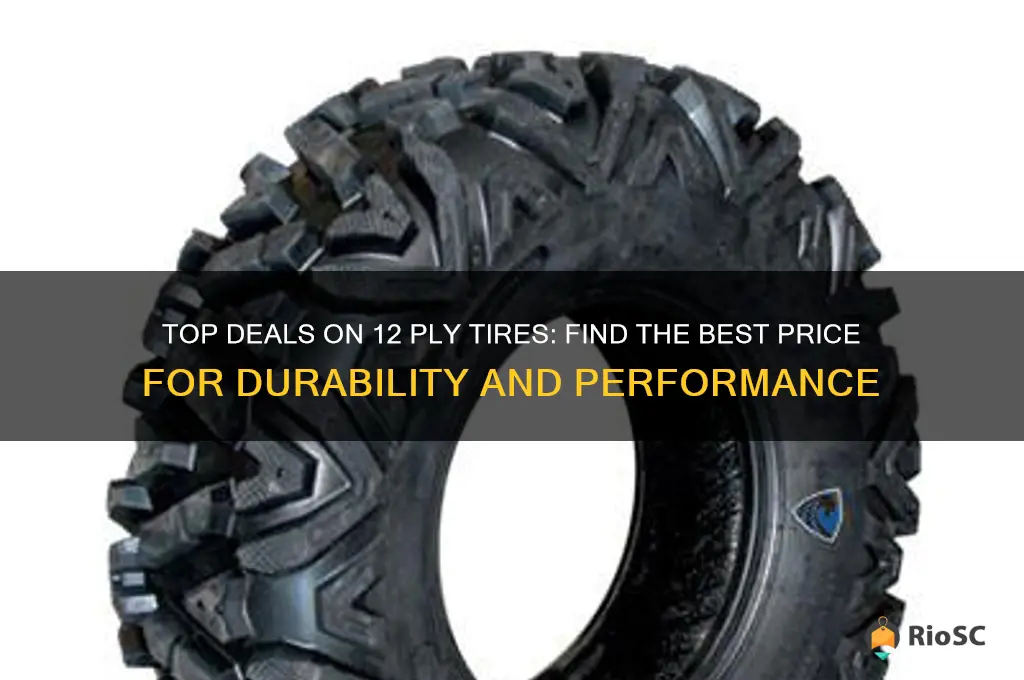 best price on 12 ply tires