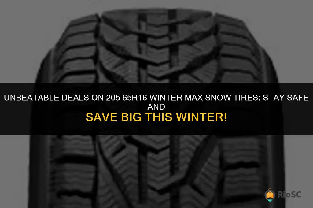 best price on 205 65r16 winter max snow tires