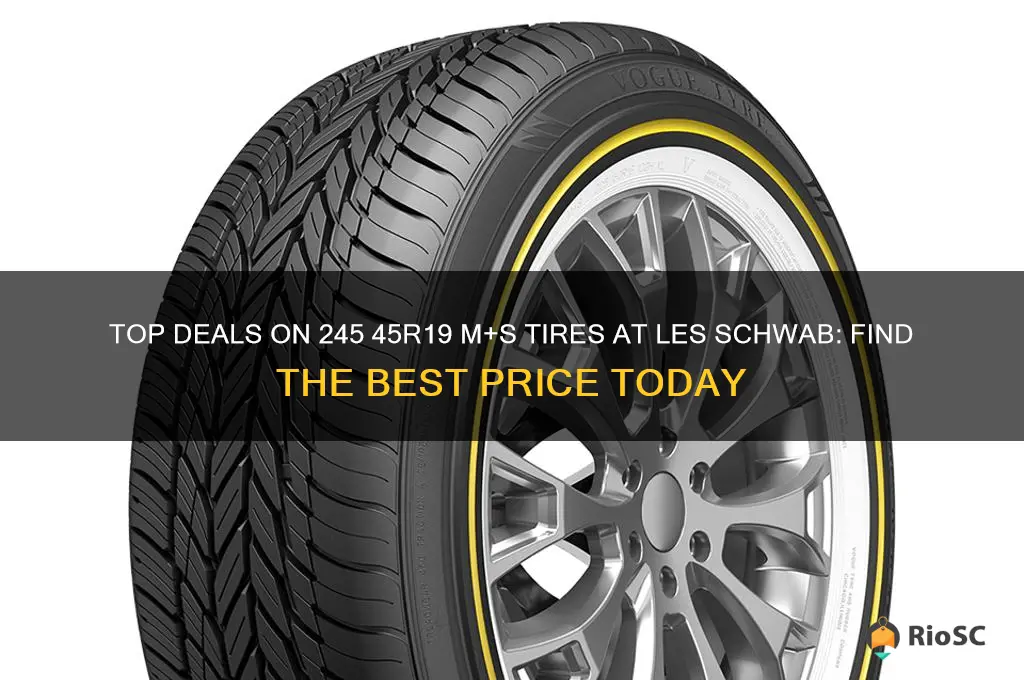 best price on 245 45r19 m s tires les schwab