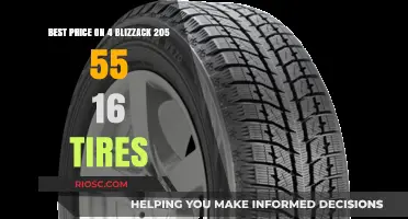 Top Deals: Get the Best Price on Bridgestone Blizzak 205/55R16 Winter Tires