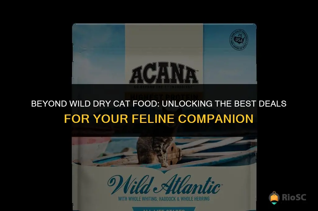 best price on beyond wild dry cat food