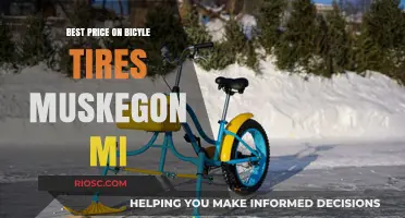 Where to Find the Best Deals on Bicycle Tires in Muskegon, MI
