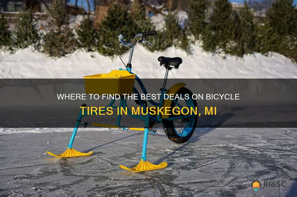best price on bicyle tires muskegon mi