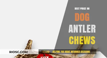 Where to Find the Best Price on Dog Antler Chews: Top Deals and Savings Tips