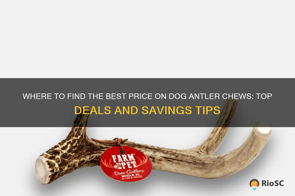 best price on dog antler chews