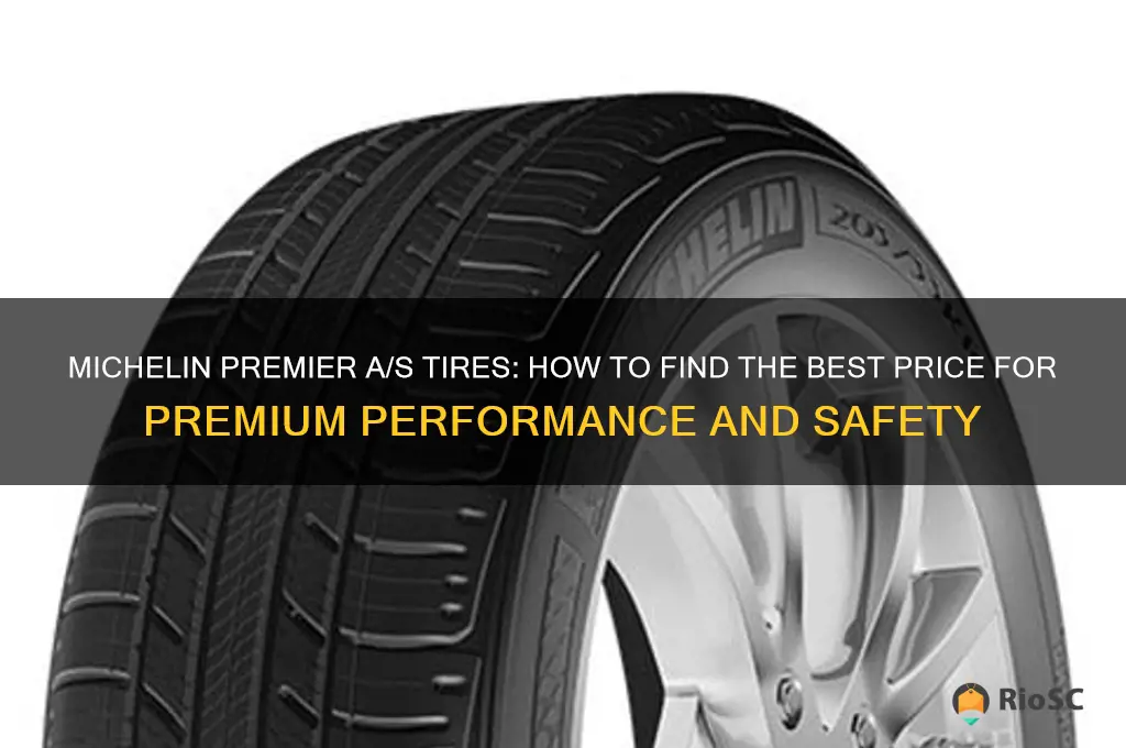best price on michelin premeir a s tires
