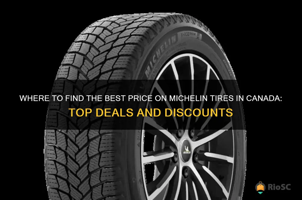 best price on michelin tires in canada