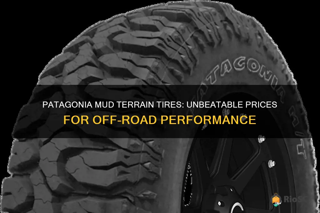 best price patagonia mud terrain tires