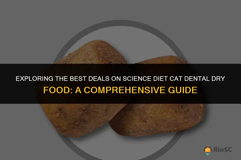 best price science diet cat dental dry food