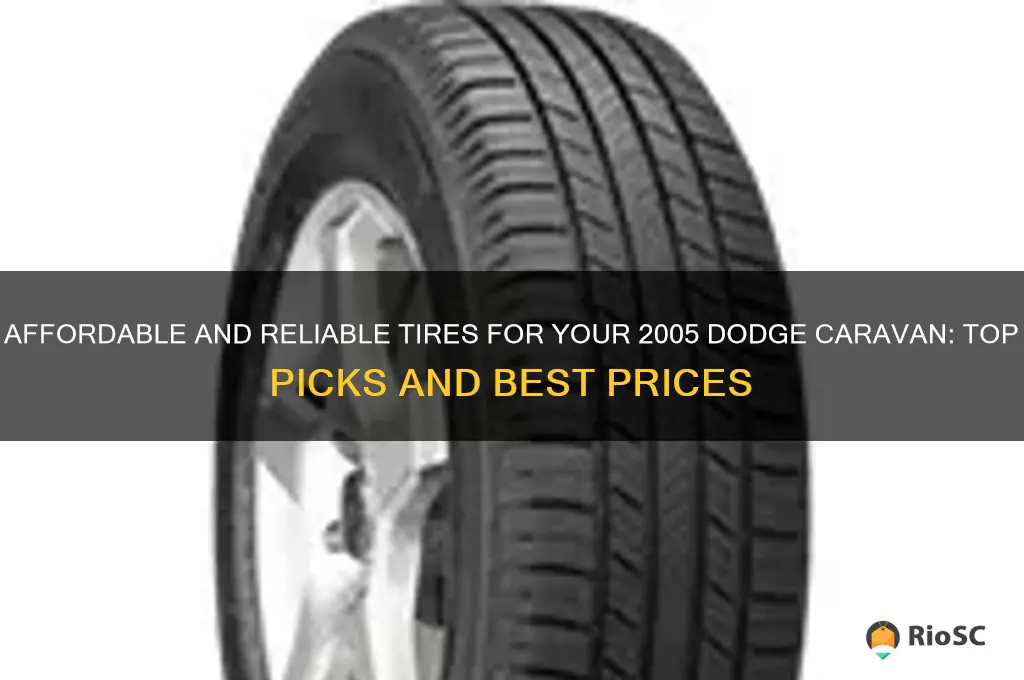 best price tires for 2005 dodge caravan