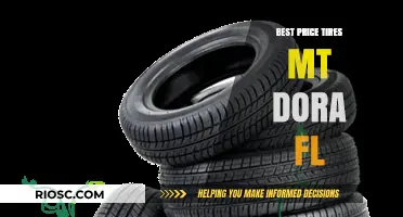 Top Deals on Tires in Mt Dora, FL: Best Price Tires Guide
