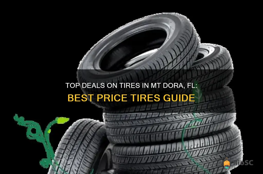 best price tires mt dora fl
