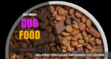 Affordable Nutrition: Top-Rated Dog Foods That Won’t Break the Bank