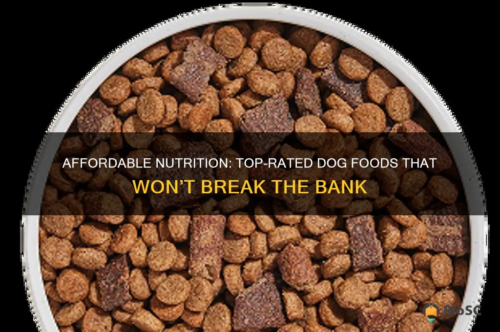 best priced dog food