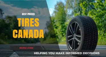 Affordable Tire Options in Canada: Top Picks for Quality and Value