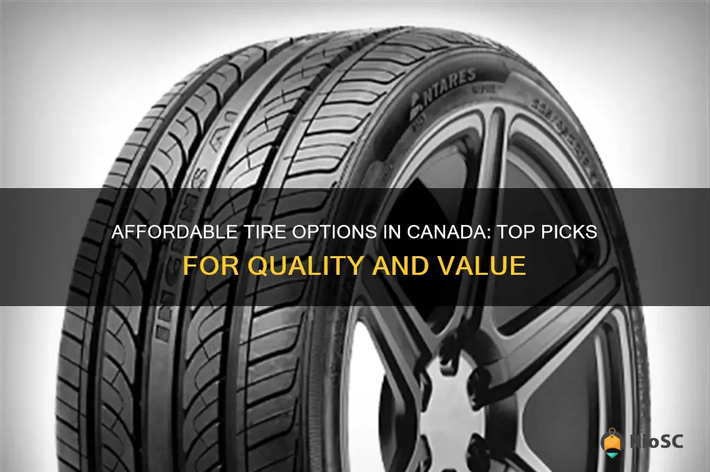 best priced tires canada