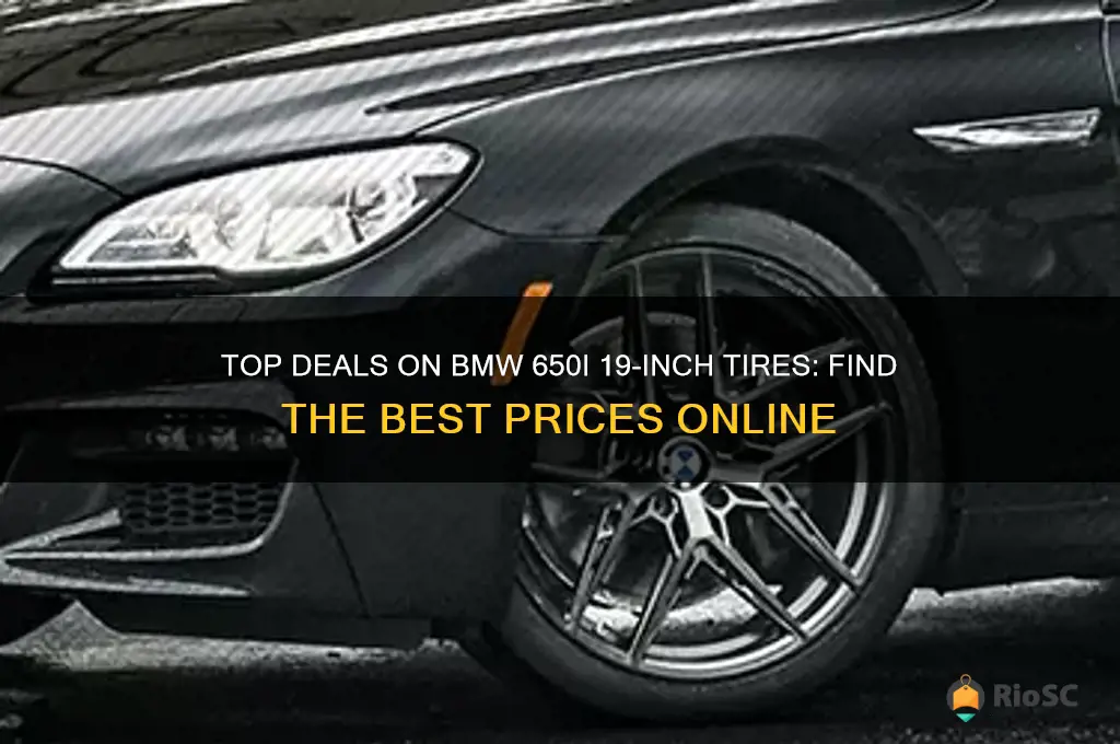 best prices for bmw 650i 19 tires