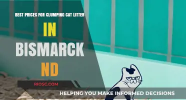Affordable Clumping Cat Litter: Top Deals in Bismarck, ND
