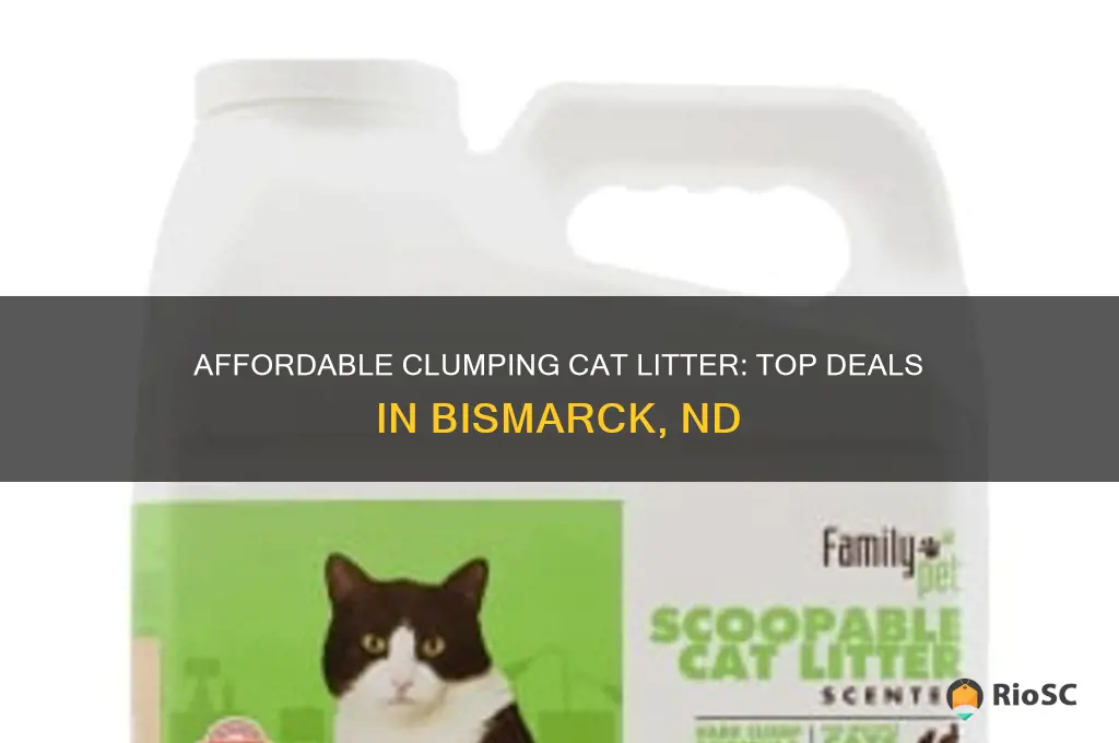 best prices for clumping cat litter in bismarck nd
